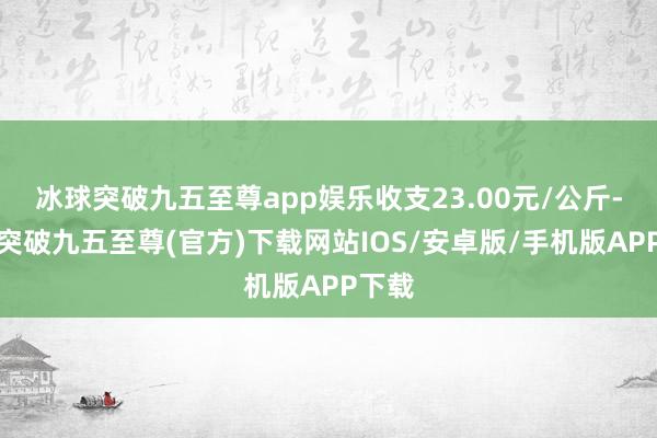 冰球突破九五至尊app娱乐收支23.00元/公斤-冰球突破九五至尊(官方)下载网站IOS/安卓版/手机版APP下载