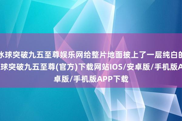 冰球突破九五至尊娱乐网给整片地面披上了一层纯白的银装-冰球突破九五至尊(官方)下载网站IOS/安卓版/手机版APP下载